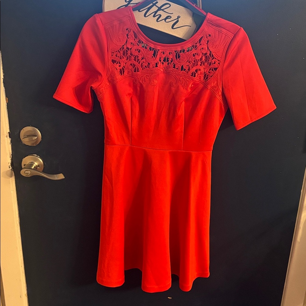 Valentines Day Jealous Tomato Red Lace Detail Dress